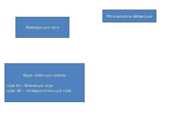 Ретикулярная формация Проводящие пути Ядра черепных нервов пара IV— блоковый нерв пара III— глазодвигательный