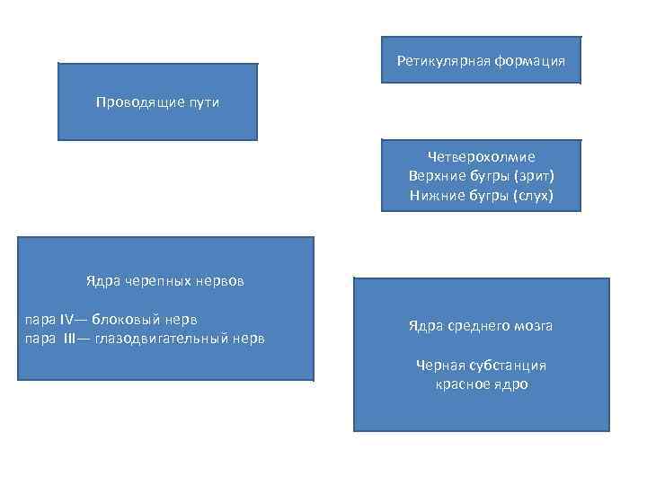 Ретикулярная формация Проводящие пути Четверохолмие Верхние бугры (зрит) Нижние бугры (слух) Ядра черепных нервов