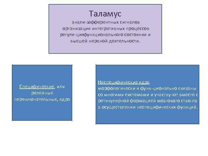 Таламус анали зафферентных сигналов организация интегративных процессов регуля цияфункционального состояния и высшей нервной деятельности.