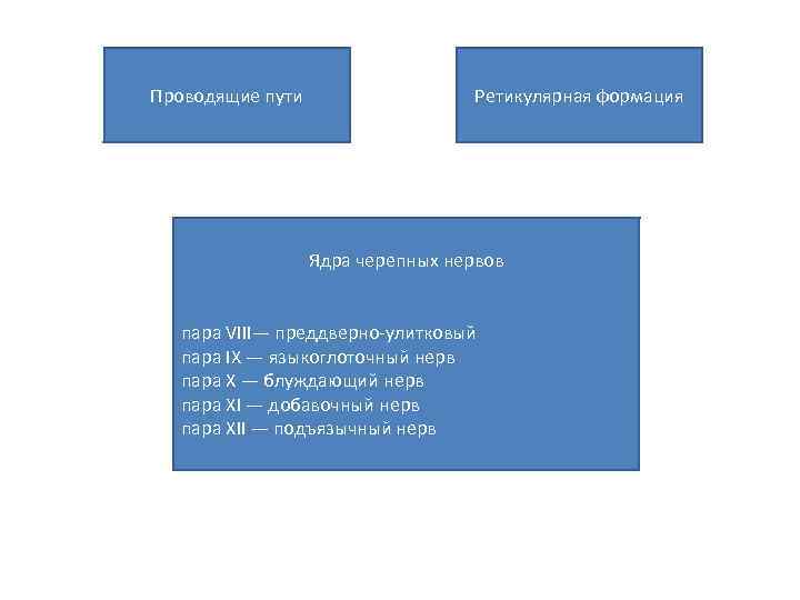 Проводящие пути Ретикулярная формация Ядра черепных нервов пара VIII— преддверно улитковый пара IX —