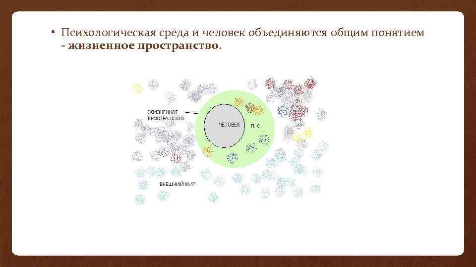  • Психологическая среда и человек объединяются общим понятием жизненное пространство. 