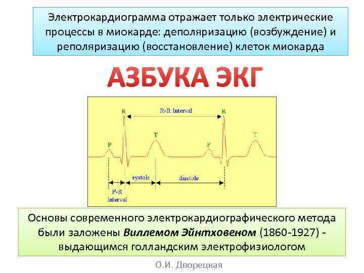 Электро диаграмма отражает электрическую активность