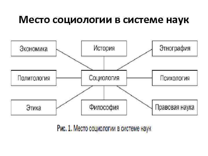 Место социолога в