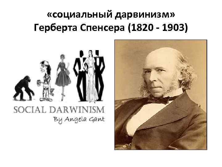 Социал дарвинизм наука. Социальный дарвинизм. Социал дарвинизм Спенсера. Теория социал дарвинизма. Социальный дарвинизм кратко.