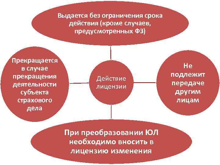 Выдается без ограничения срока действия (кроме случаев, предусмотренных ФЗ) Прекращается в случае прекращения деятельности