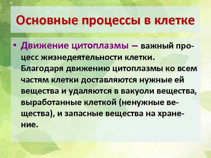 Основные процессы в клетке • Движение цитоплазмы – важный про- цесс жизнедеятельности клетки. Благодаря