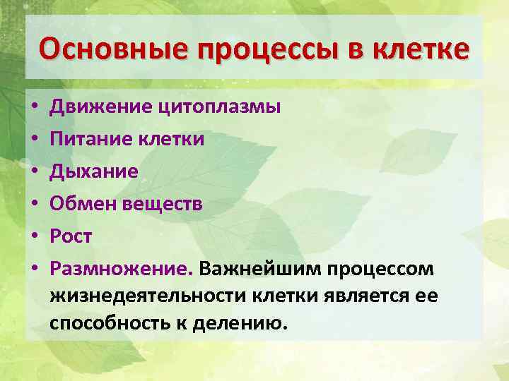 Процессы жизнедеятельности клетки 5 класс биология. Процессы жизнедеятельности клетки. Основные процессы жизнедеятельности клетки. «Основные процессы, протекающие в клетке». Этапы жизнедеятельности клетки.