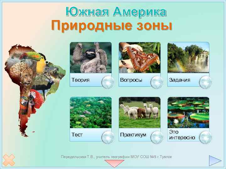 Южная Америка Природные зоны Теория Вопросы Задания Тест Практикум Это интересно Передельская Т. В.