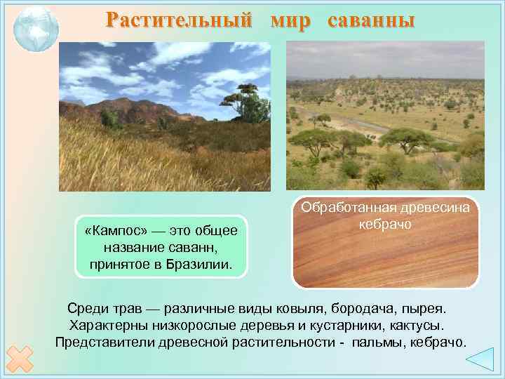 Растительный мир саванны «Кампос» — это общее название саванн, принятое в Бразилии. Обработанная древесина