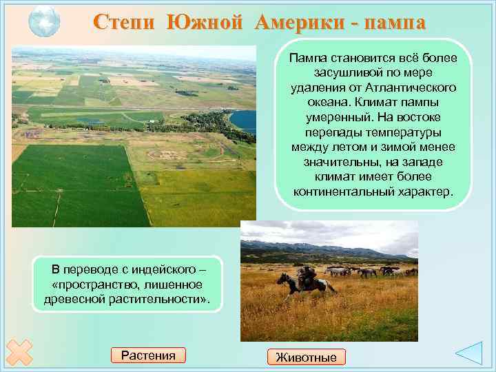 Степи Южной Америки - пампа Пампа становится всё более засушливой по мере удаления от