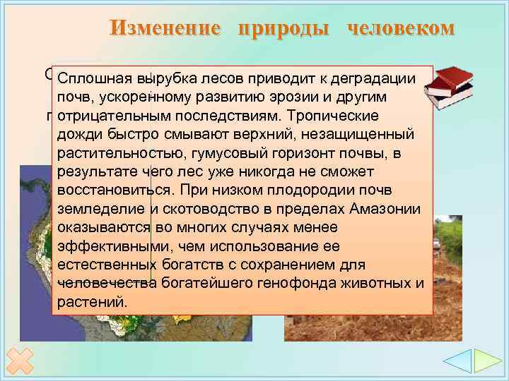 Изменение природы человеком Стремительное Сплошная вырубка лесов приводит к деградации сокращение почв, ускоренному развитию