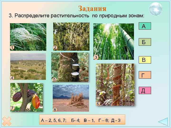 Задания 3. Распределите растительность по природным зонам: А 1 Б 2 3 4 В