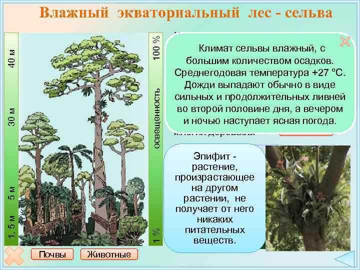 1% 1, 5 м 5 м 30 м освещенность 40 м 100 % Влажный