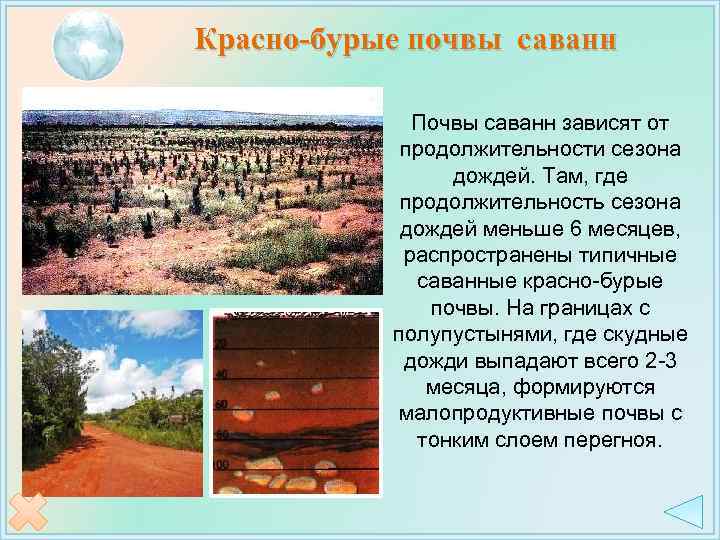 Красно-бурые почвы саванн Почвы саванн зависят от продолжительности сезона дождей. Там, где продолжительность сезона