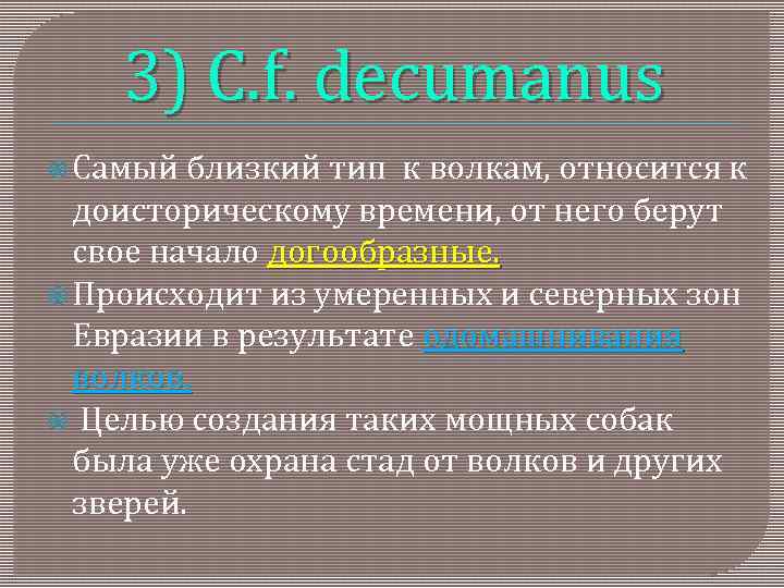 3) C. f. decumanus Самый близкий тип к волкам, относится к доисторическому времени, от