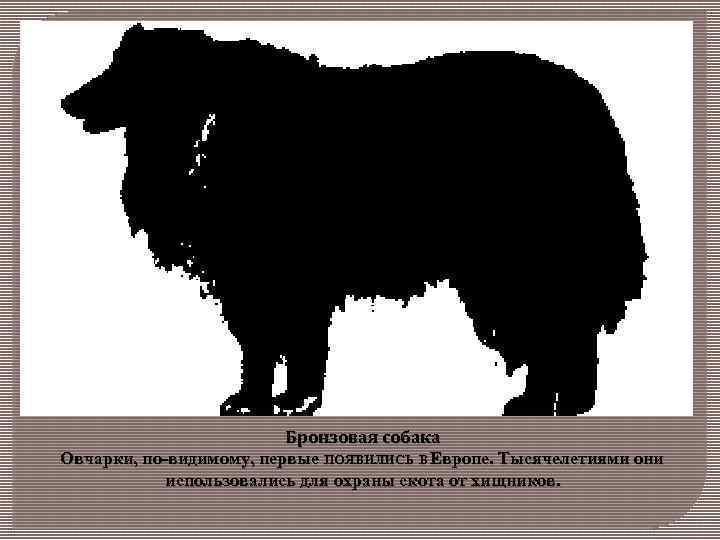 Бронзовая собака Овчарки, по-видимому, первые ПОЯВИЛИСЬ В Европе. Тысячелетиями они использовались для охраны скота
