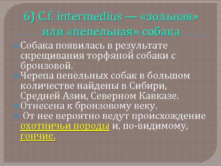 6) C. f. intermedius — «зольная» или «пепельная» собака Собака появилась в результате скрещивания