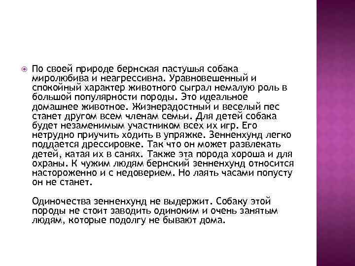  По своей природе бернская пастушья собака миролюбива и неагрессивна. Уравновешенный и спокойный характер