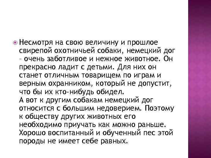  Несмотря на свою величину и прошлое свирепой охотничьей собаки, немецкий дог – очень