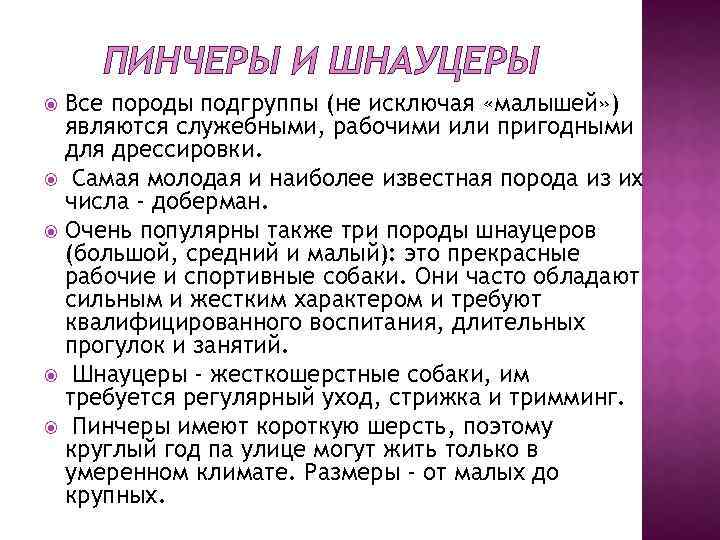 ПИНЧЕРЫ И ШНАУЦЕРЫ Все породы подгруппы (не исключая «малышей» ) являются служебными, рабочими или