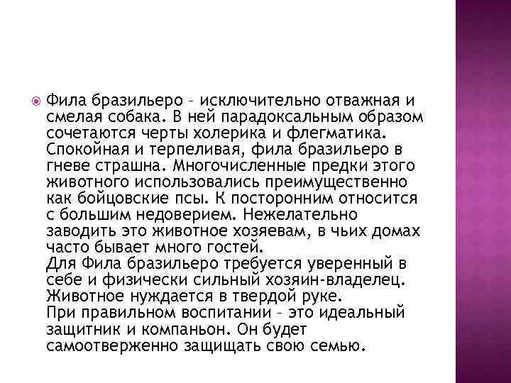  Фила бразильеро – исключительно отважная и смелая собака. В ней парадоксальным образом сочетаются