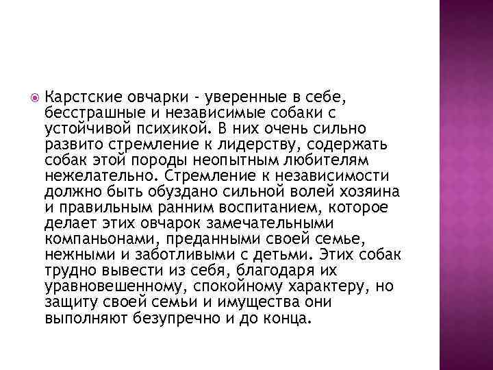  Карстские овчарки - уверенные в себе, бесстрашные и независимые собаки с устойчивой психикой.