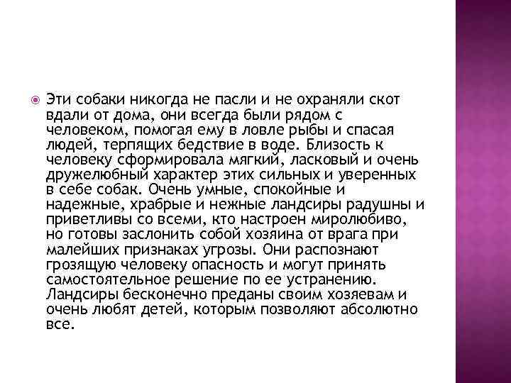  Эти собаки никогда не пасли и не охраняли скот вдали от дома, они