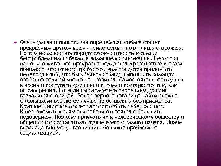  Очень умная и понятливая пиренейская собака станет прекрасным другом всем членам семьи и