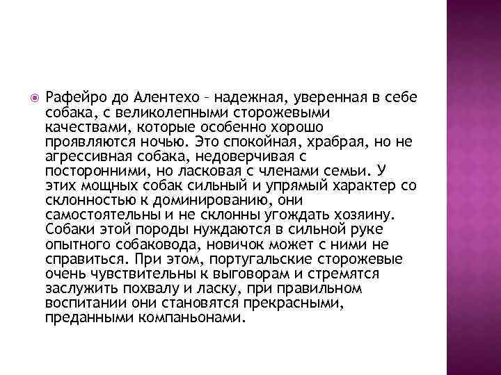  Рафейро до Алентехо – надежная, уверенная в себе собака, с великолепными сторожевыми качествами,