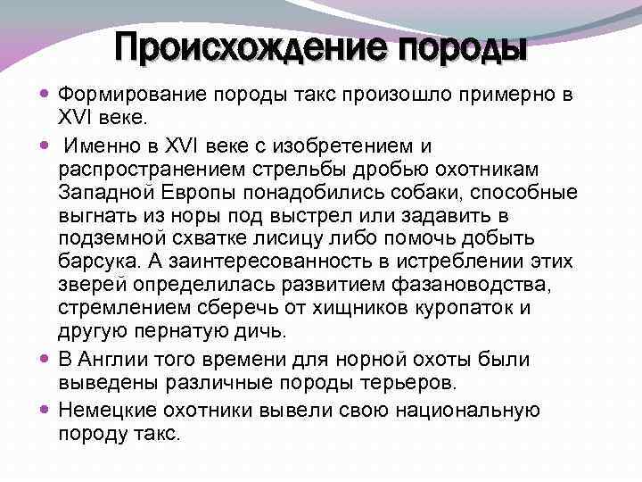 Происхождение породы Формирование породы такс произошло примерно в XVI веке. Именно в XVI веке