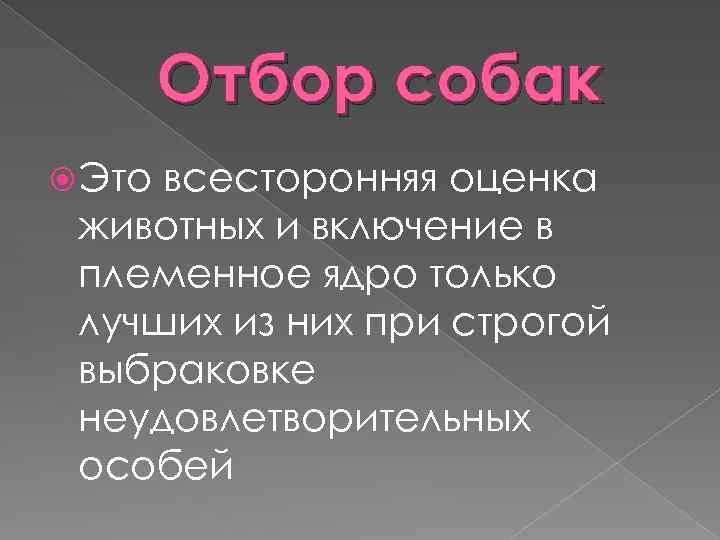 Отбор собак Это всесторонняя оценка животных и включение в племенное ядро только лучших из