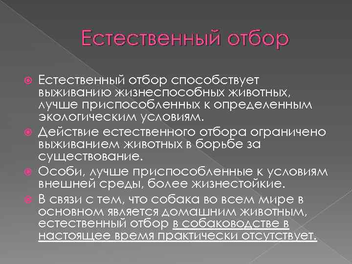 Естественный отбор способствует выживанию жизнеспособных животных, лучше приспособленных к определенным экологическим условиям. Действие естественного