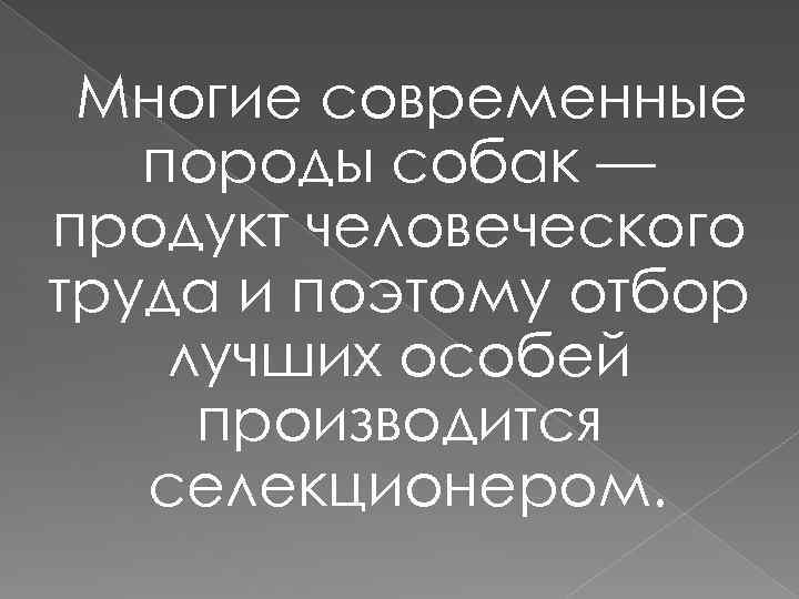 Многие современные породы собак — продукт человеческого труда и поэтому отбор лучших особей производится