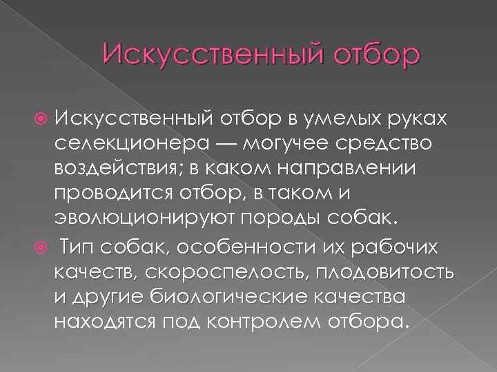 Искусственный отбор в умелых руках селекционера — могучее средство воздействия; в каком направлении проводится