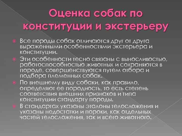 Оценка по экстерьеру