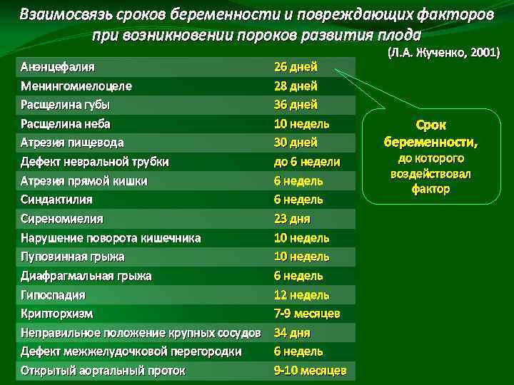 Взаимосвязь сроков беременности и повреждающих факторов при возникновении пороков развития плода Анэнцефалия Менингомиелоцеле Расщелина