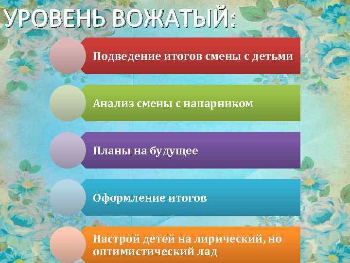 УРОВЕНЬ ВОЖАТЫЙ: Подведение итогов смены с детьми Анализ смены с напарником Планы на будущее