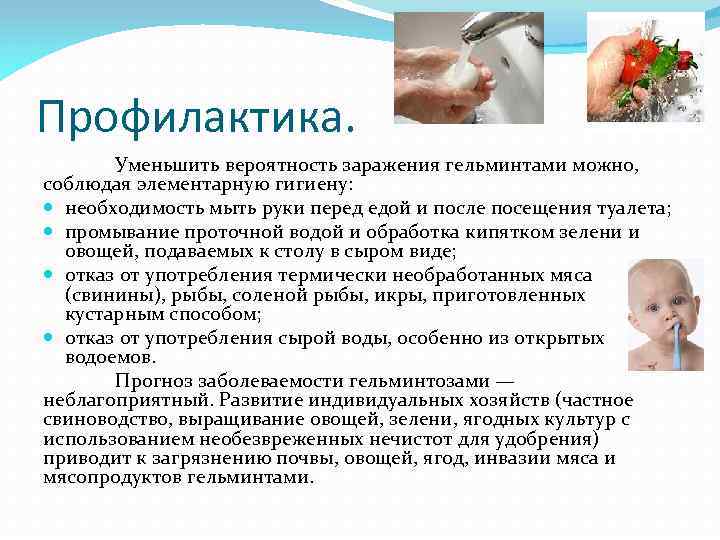 Профилактика. Уменьшить вероятность заражения гельминтами можно, соблюдая элементарную гигиену: необходимость мыть руки перед едой