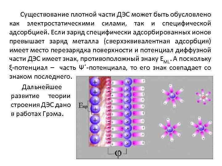 Существование плотной части ДЭС может быть обусловлено как электростатическими силами, так и специфической адсорбцией.