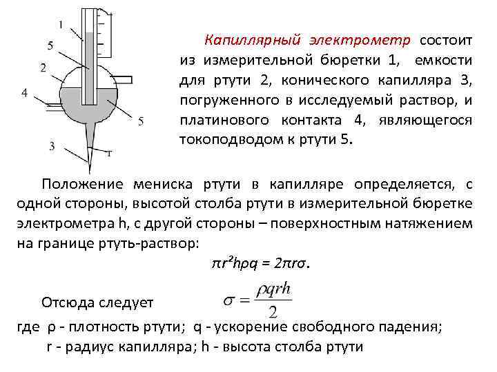 Капиллярный электрометр состоит из измерительной бюретки 1, емкости для ртути 2, конического капилляра 3,