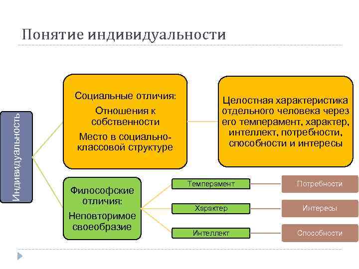 Индивидуальность Понятие индивидуальности Социальные отличия: Отношения к собственности Место в социальноклассовой структуре Философские отличия: