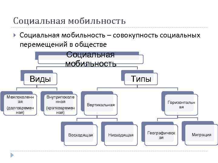 С помощью компьютера создайте схему показывающую состав общества русского