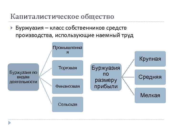 Капиталистическое общество Буржуазия – класс собственников средств производства, использующие наемный труд Промышленна я Крупная