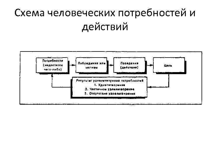 Схема человеческих потребностей и действий 