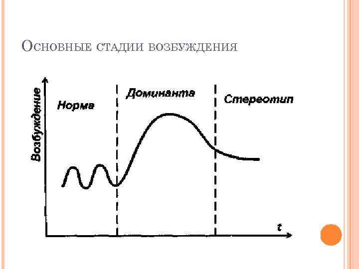 ОСНОВНЫЕ СТАДИИ ВОЗБУЖДЕНИЯ 