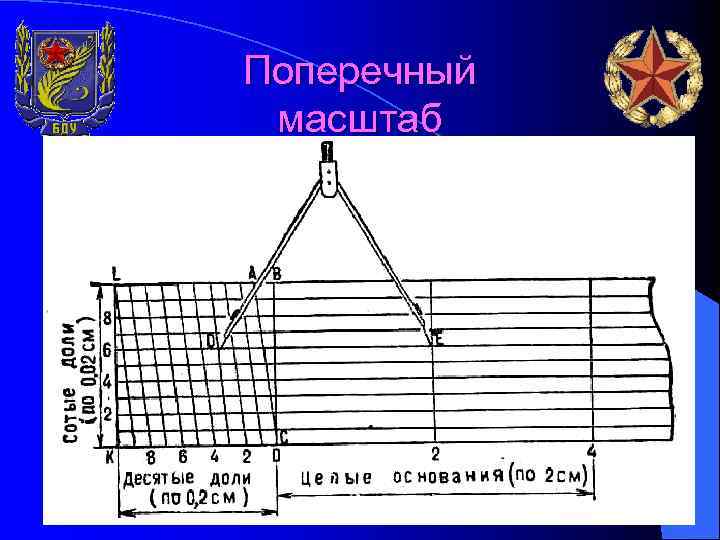 Поперечный масштаб 