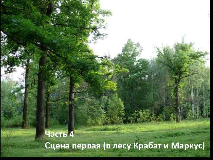 Часть 4 Сцена первая (в лесу Крабат и Маркус) 