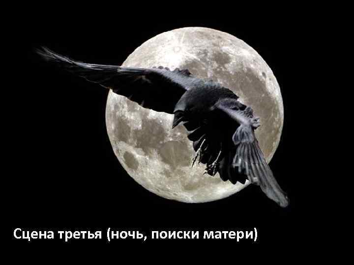 Сцена третья (ночь, поиски матери) 