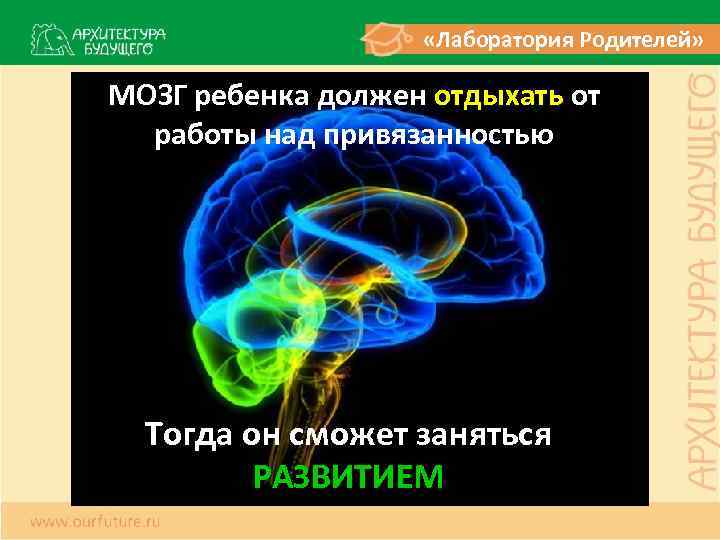  «Лаборатория Родителей» МОЗГ ребенка должен отдыхать от работы над привязанностью Тогда он сможет