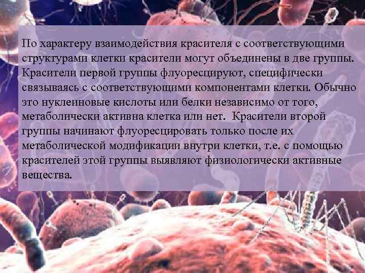 По характеру взаимодействия красителя с соответствующими структурами клетки красители могут объединены в две группы.